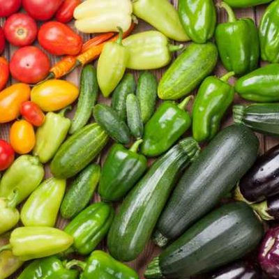 Fresh farmers garden vegetables