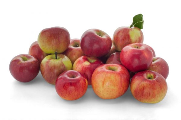 Idared apples