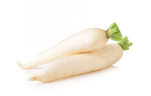 Daikon radishes isolated on white background