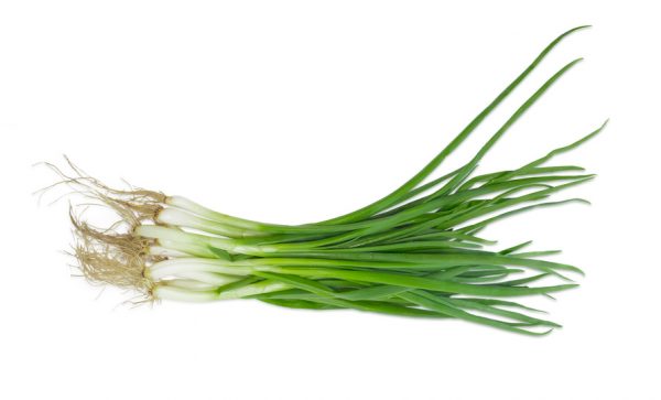 Bundle of a green onion on a light background