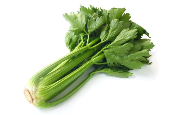 Celery