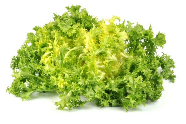 Salade frisée