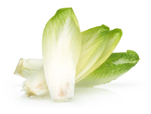 Three Endive