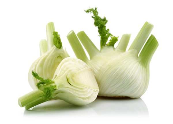 Fresh Fennel and Half Fennel