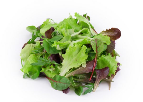 Green and red leaf of lettuce