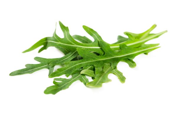 Fresh arugula leaves