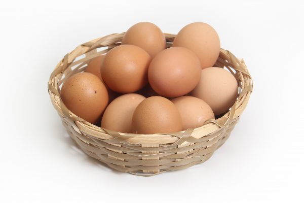 egg-1686641