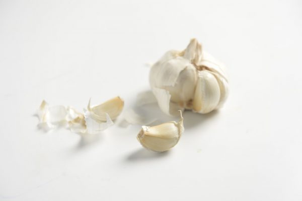 garlic-1171146