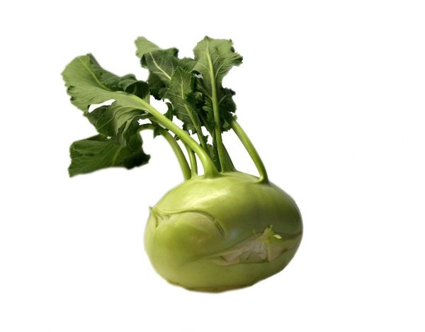 kohlrabi-74276