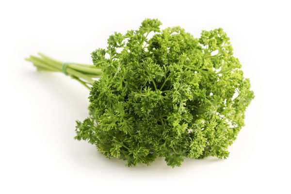 parsley-1665402