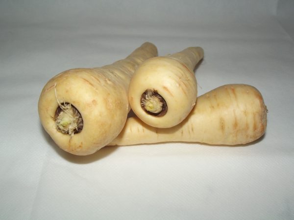 parsnip-20320