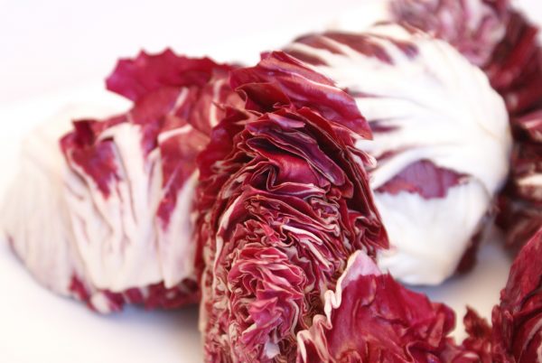 radicchio-74315