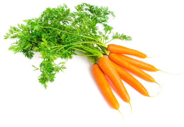 Fresh carrots isolated on white background