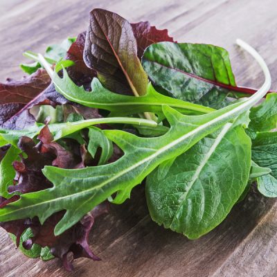 Tagesfrische Salate