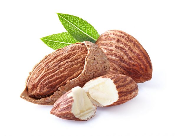Almonds kernel with leaf