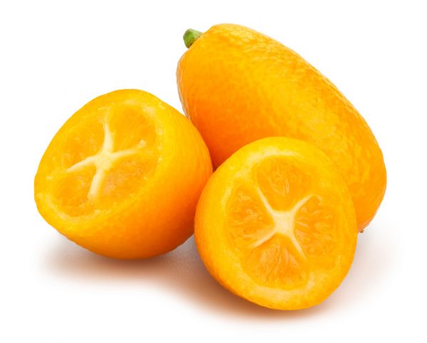 kumquat