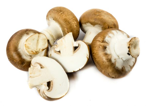 Braune Champignons auf weißen Hintergrund