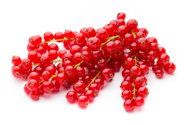 Red Currant close up isolated on white.