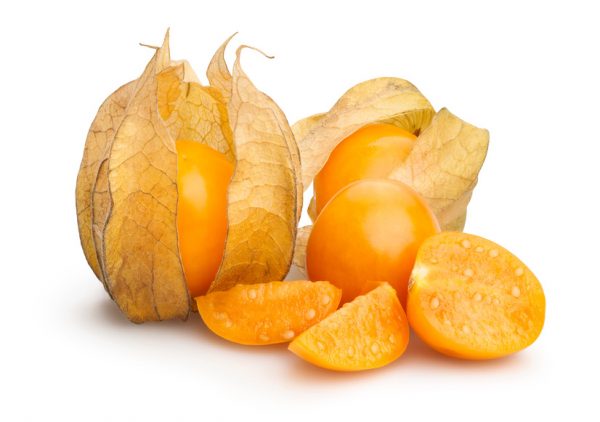 physalis